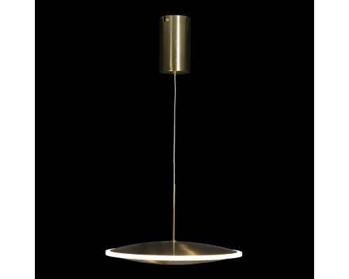 Сделать заказ Подвесной светильник LOFT IT 10036/300| VIVID-LIGHT.RU