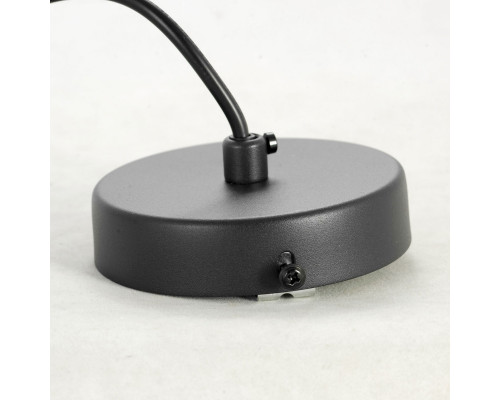 Заказать Подвесной светильник LOFT LSP-8498| VIVID-LIGHT.RU