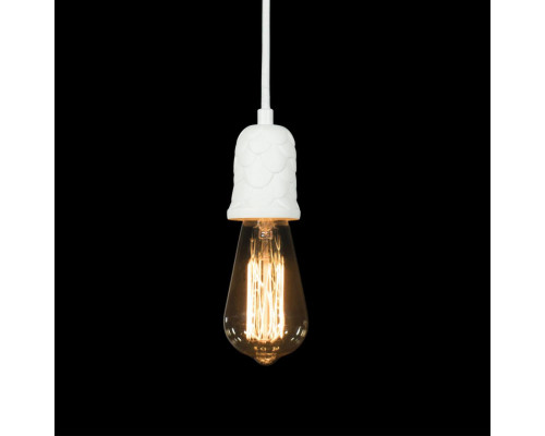 Сделать заказ Подвесной светильник LOFT IT 10091| VIVID-LIGHT.RU