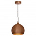 Купить Подвесной светильник LOFT LSN-6106-01| VIVID-LIGHT.RU