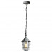 Купить Подвесной светильник LOFT LSP-9524| VIVID-LIGHT.RU