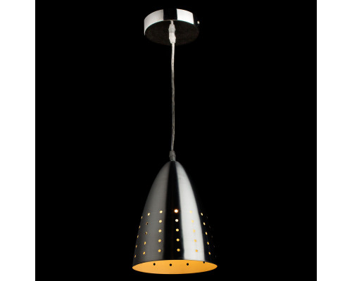 Купить Подвесной светильник ARTE Lamp A4081SP-1SS| VIVID-LIGHT.RU