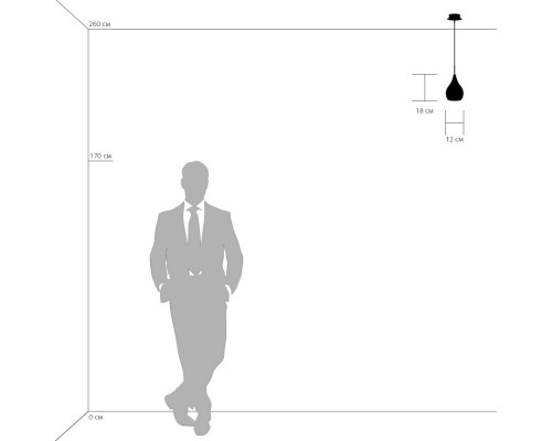 Сделать заказ Подвесной светильник 803031 Lightstar| VIVID-LIGHT.RU