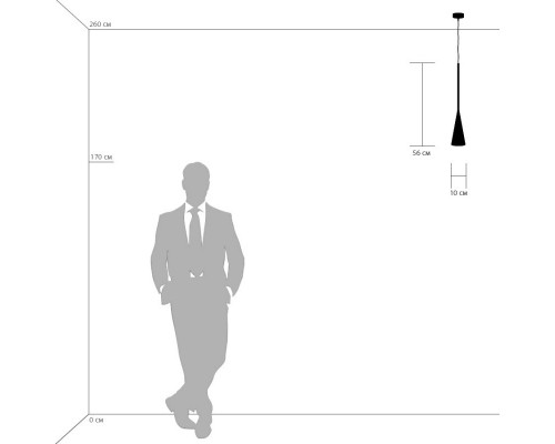 Оформить заказ Подвесной светильник Lightstar 804110| VIVID-LIGHT.RU