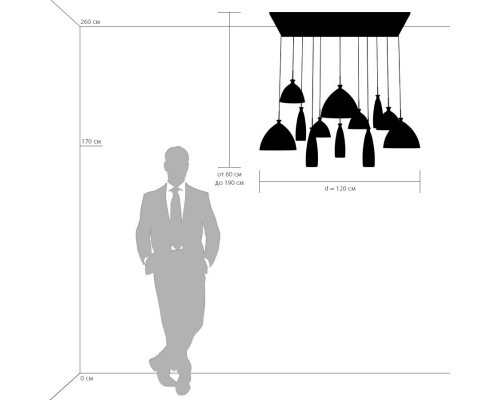 Оформить заказ Подвесной светильник Lightstar 810223| VIVID-LIGHT.RU