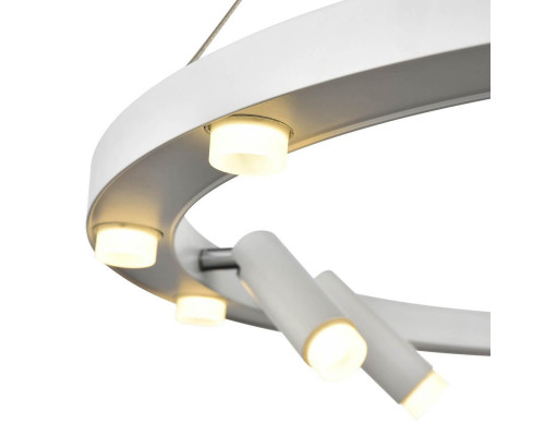 Оформить заказ Подвесной светильник Vele Luce VL7171P12| VIVID-LIGHT.RU