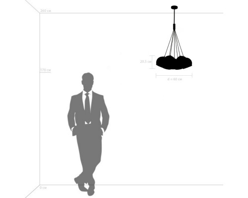 Оформить заказ Подвесной светильник Lightstar 729071| VIVID-LIGHT.RU