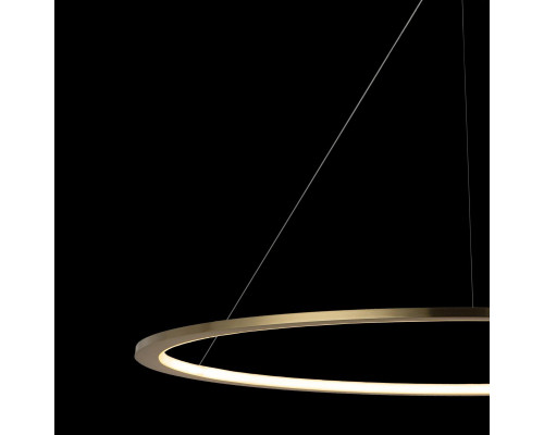 Сделать заказ Подвесной светильник LOFT IT 10014XXL| VIVID-LIGHT.RU