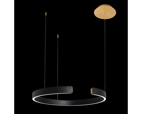 Заказать Подвесной светильник LOFT IT 10025/600 Black| VIVID-LIGHT.RU