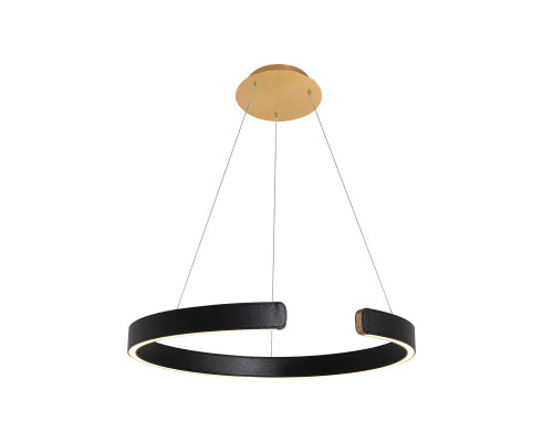 Заказать Подвесной светильник LOFT IT 10025/600 Black| VIVID-LIGHT.RU
