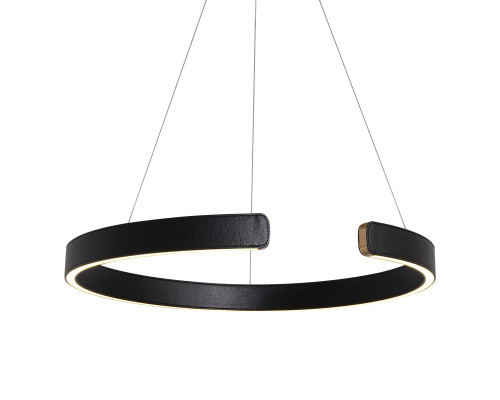 Заказать Подвесной светильник LOFT IT 10025/600 Black| VIVID-LIGHT.RU