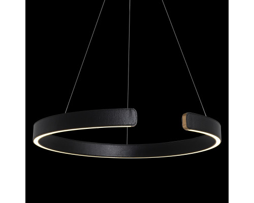 Заказать Подвесной светильник LOFT IT 10025/600 Black| VIVID-LIGHT.RU