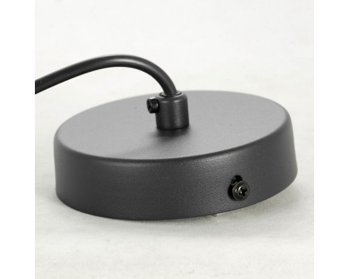 Заказать Подвесной светильник LOFT LSP-8525| VIVID-LIGHT.RU