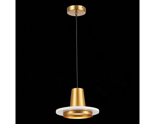 Оформить заказ Подвесной светильник ST-Luce SL1212.203.01| VIVID-LIGHT.RU
