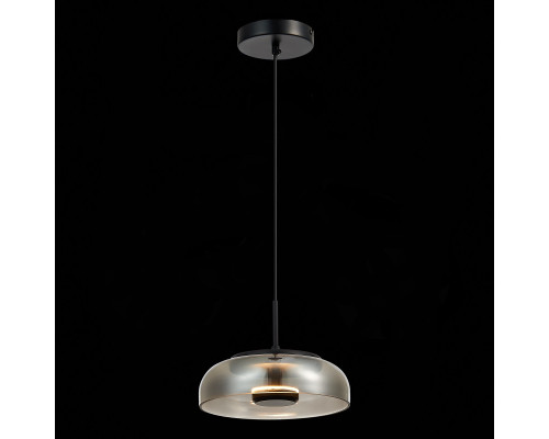 Оформить заказ Подвесной светильник ST-Luce SL6002.403.01| VIVID-LIGHT.RU