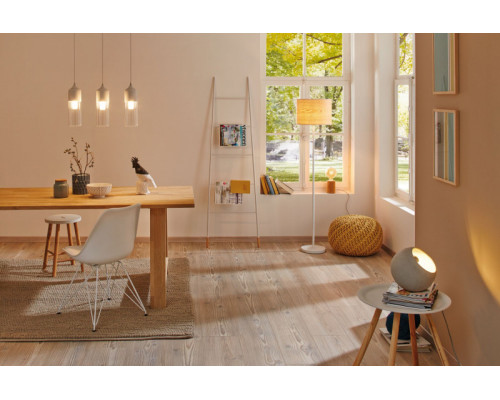 Оформить заказ Подвесной светильник Paulmann 79630| VIVID-LIGHT.RU