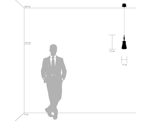 Оформить заказ Подвесной светильник 806010 Lightstar| VIVID-LIGHT.RU