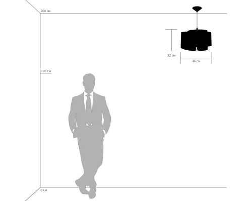 Сделать заказ Подвесной светильник Lightstar 811132| VIVID-LIGHT.RU