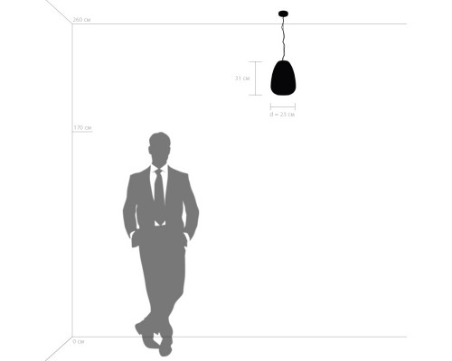 Оформить заказ Подвесной светильник Lightstar 805012| VIVID-LIGHT.RU