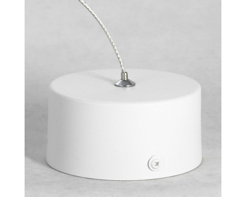 Сделать заказ Подвесной светильник LOFT LSP-8349| VIVID-LIGHT.RU