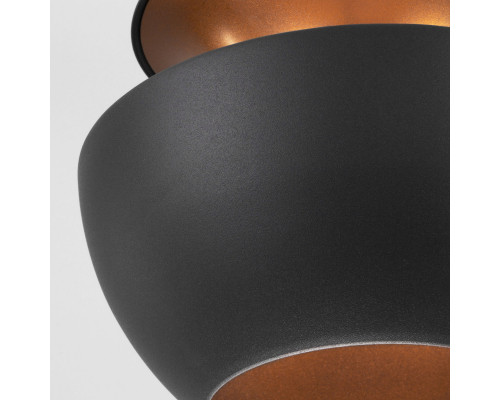 Сделать заказ Подвесной светильник Eurosvet 50170/1 черный| VIVID-LIGHT.RU