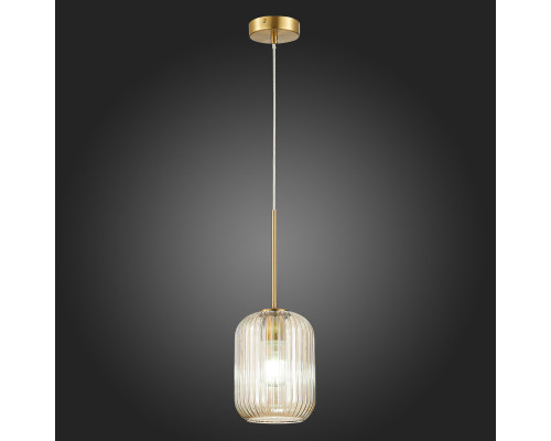 Оформить заказ Подвесной светильник ST-Luce SL1154.333.01| VIVID-LIGHT.RU