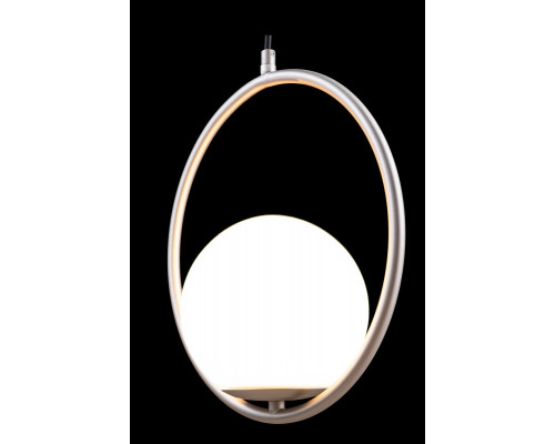 Оформить заказ Подвесной светильник LOFT IT LOFT2600-B| VIVID-LIGHT.RU