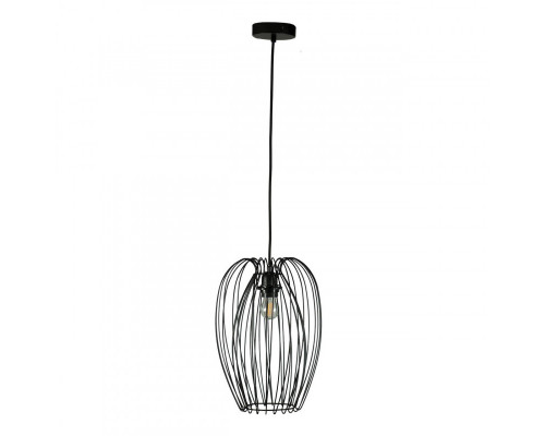 Оформить заказ Подвесной светильник LOFT IT 10031 Black| VIVID-LIGHT.RU