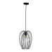 Оформить заказ Подвесной светильник LOFT IT 10031 Black| VIVID-LIGHT.RU