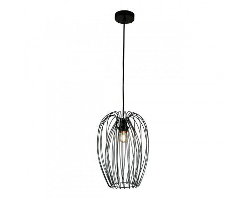 Сделать заказ Подвесной светильник LOFT IT 10031 Black| VIVID-LIGHT.RU