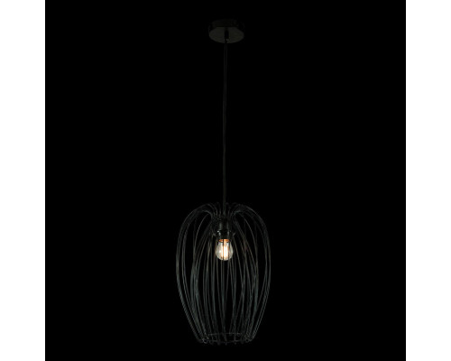 Сделать заказ Подвесной светильник LOFT IT 10031 Black| VIVID-LIGHT.RU