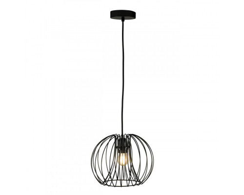 Сделать заказ Подвесной светильник LOFT IT 10032 Black| VIVID-LIGHT.RU