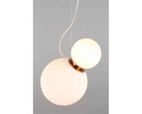 Оформить заказ Подвесной светильник APLOYT APL.301.06.02| VIVID-LIGHT.RU