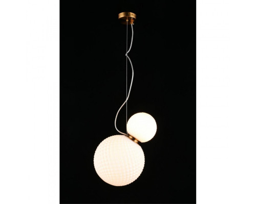 Оформить заказ Подвесной светильник APLOYT APL.301.06.02| VIVID-LIGHT.RU