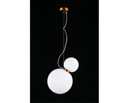 Оформить заказ Подвесной светильник APLOYT APL.301.06.02| VIVID-LIGHT.RU