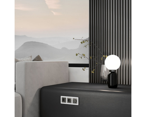 Купить Клавиша Werkel W1179544| VIVID-LIGHT.RU