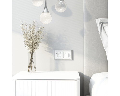 Заказать Клавиша Werkel W1179541| VIVID-LIGHT.RU