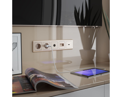 Купить Клавиша Werkel W1191110| VIVID-LIGHT.RU