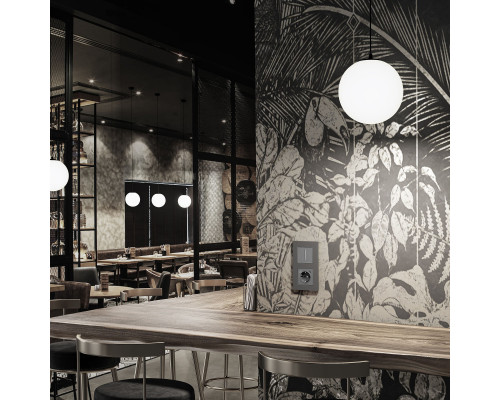 Сделать заказ Диммеры Werkel W3443106| VIVID-LIGHT.RU