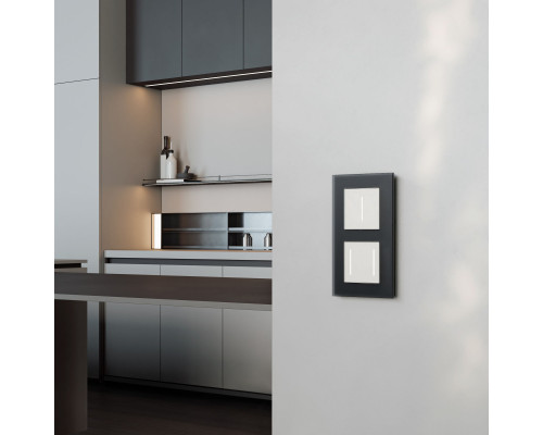 Заказать Диммеры Werkel W3443101| VIVID-LIGHT.RU