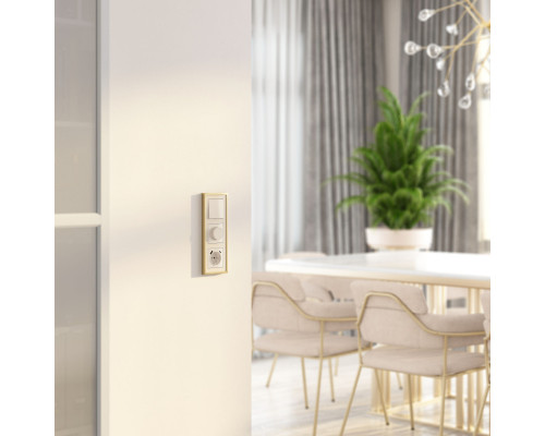 Купить Диммеры Werkel W1142043| VIVID-LIGHT.RU