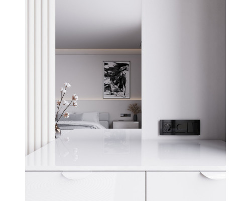 Заказать Диммеры Werkel W1142048| VIVID-LIGHT.RU