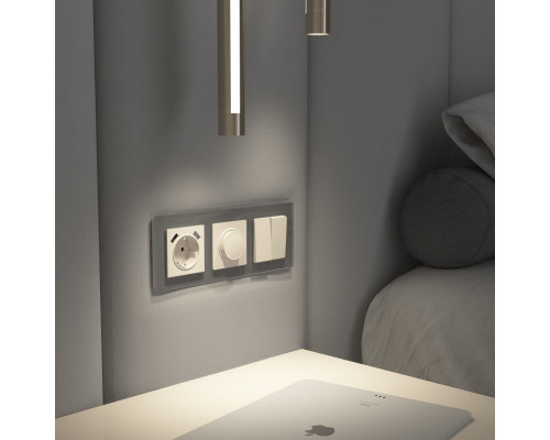 Сделать заказ Диммеры Werkel W1142062| VIVID-LIGHT.RU