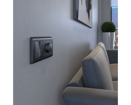 Сделать заказ Диммеры Werkel W1142004| VIVID-LIGHT.RU