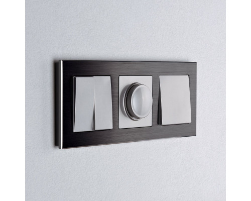 Сделать заказ Диммеры Werkel W1142006| VIVID-LIGHT.RU