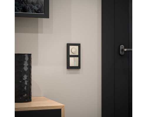 Сделать заказ Диммеры Werkel W1142003| VIVID-LIGHT.RU