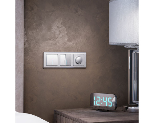 Оформить заказ Диммеры Werkel W1142009| VIVID-LIGHT.RU