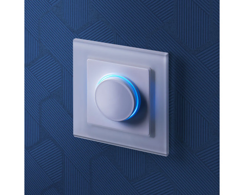 Оформить заказ Диммеры Werkel W1142101| VIVID-LIGHT.RU