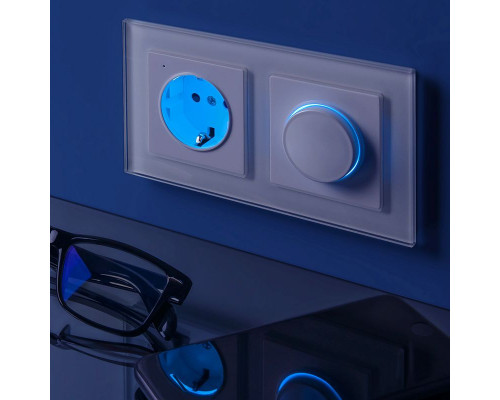 Оформить заказ Диммеры Werkel W1142101| VIVID-LIGHT.RU