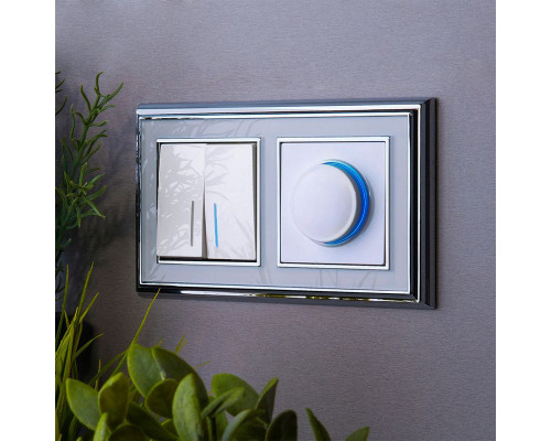 Оформить заказ Диммеры Werkel W1142101| VIVID-LIGHT.RU